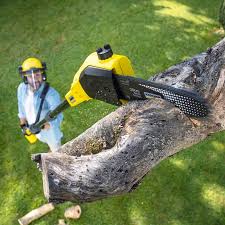 Best Lawn Mowing  in Bronson, FL